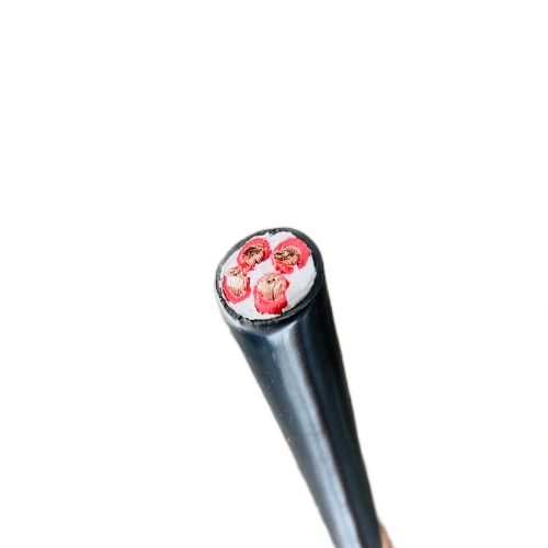 �����������ǲ���Z6���й�������ҳ����