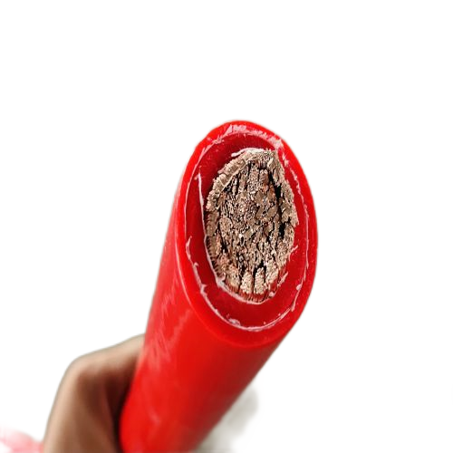 �����������ǲ���Z6���й�������ҳ����