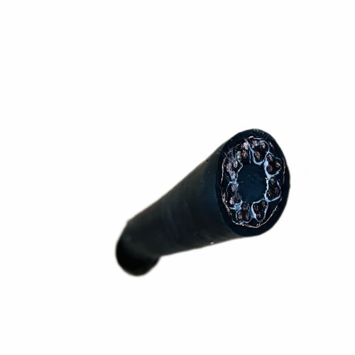 尊龙人生就是博·Z6「中国区」首页官网