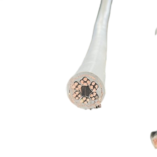 尊龙人生就是博·Z6「中国区」首页官网