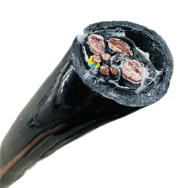 尊龙人生就是博·Z6「中国区」首页官网