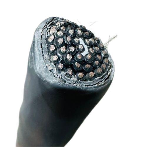 尊龙人生就是博·Z6「中国区」首页官网