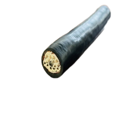 尊龙人生就是博·Z6「中国区」首页官网