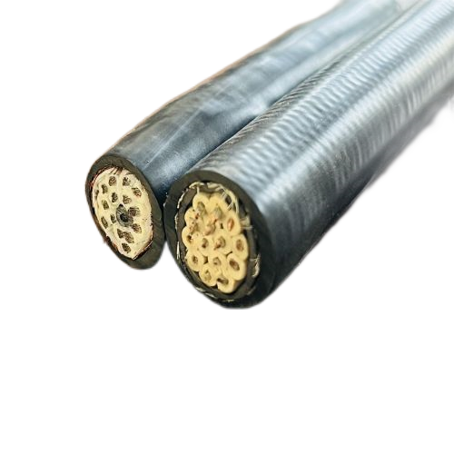 尊龙人生就是博·Z6「中国区」首页官网