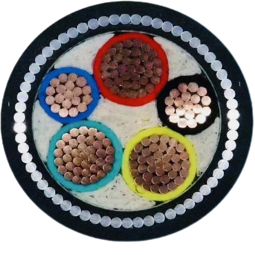 �����������ǲ���Z6���й�������ҳ����