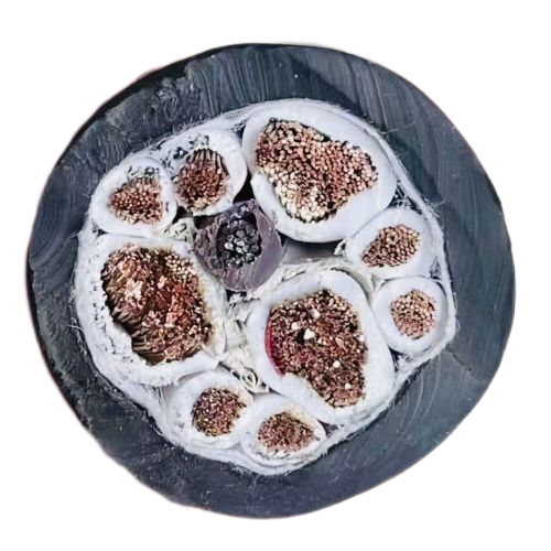 尊龙人生就是博·Z6「中国区」首页官网