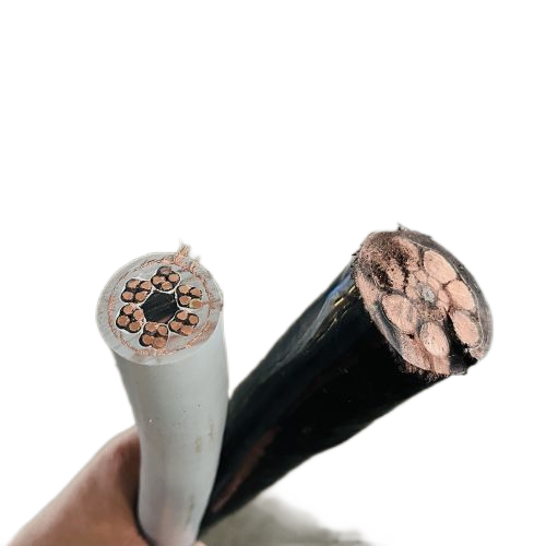 尊龙人生就是博·Z6「中国区」首页官网