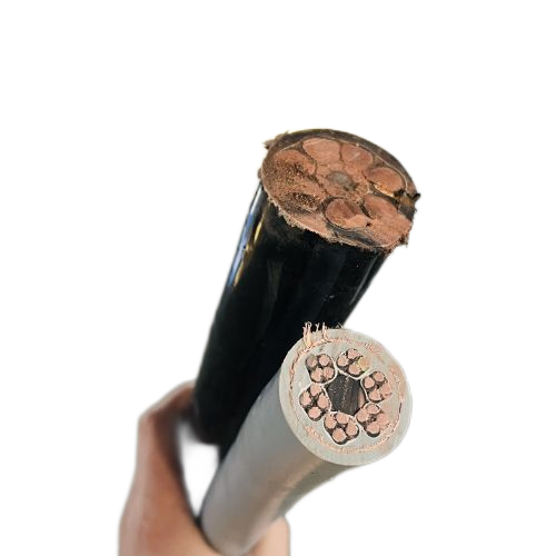 尊龙人生就是博·Z6「中国区」首页官网