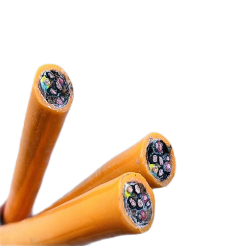 尊龙人生就是博·Z6「中国区」首页官网