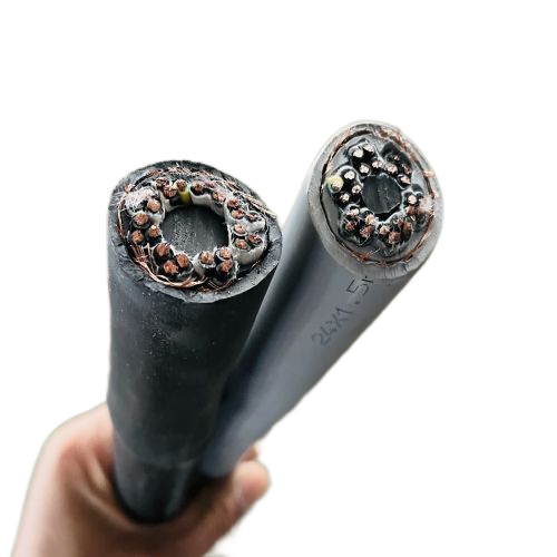 尊龙人生就是博·Z6「中国区」首页官网