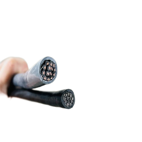 尊龙人生就是博·Z6「中国区」首页官网