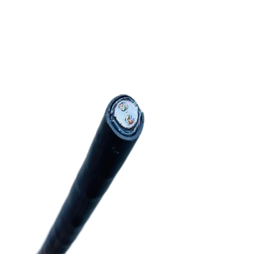 尊龙人生就是博·Z6「中国区」首页官网