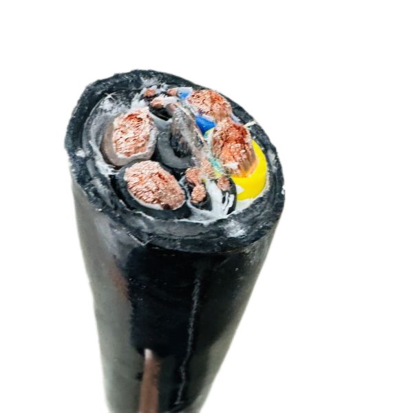 尊龙人生就是博·Z6「中国区」首页官网