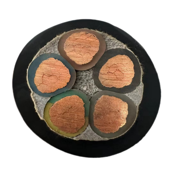 �����������ǲ���Z6���й�������ҳ����