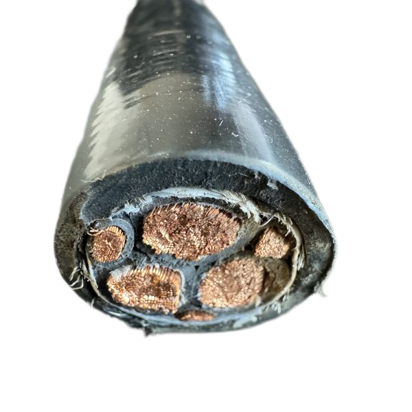 尊龙人生就是博·Z6「中国区」首页官网