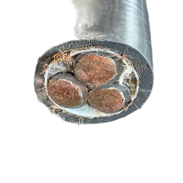 尊龙人生就是博·Z6「中国区」首页官网