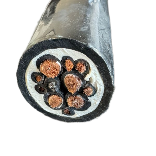 尊龙人生就是博·Z6「中国区」首页官网