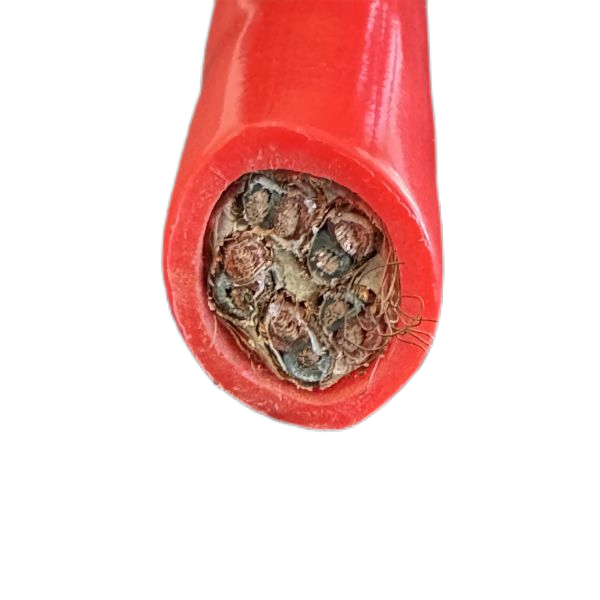 �����������ǲ���Z6���й�������ҳ����