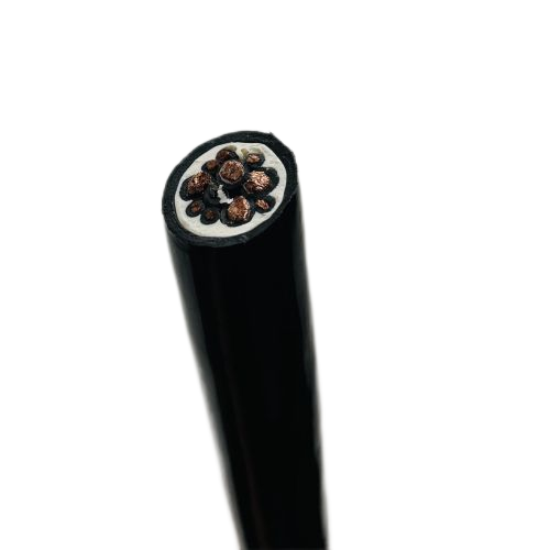 尊龙人生就是博·Z6「中国区」首页官网