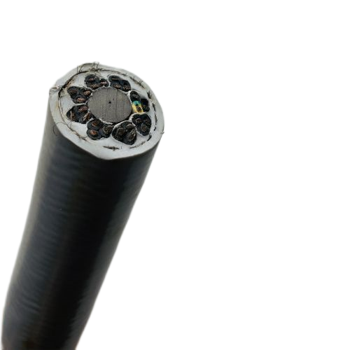 尊龙人生就是博·Z6「中国区」首页官网