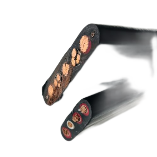 尊龙人生就是博·Z6「中国区」首页官网