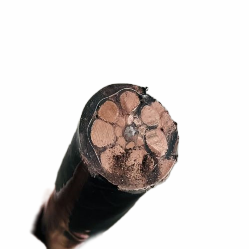 �����������ǲ���Z6���й�������ҳ����