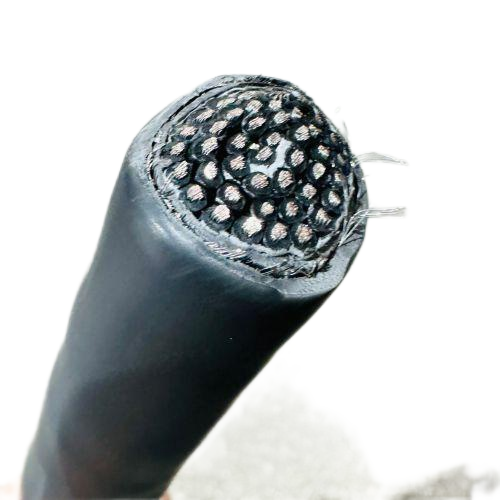 �����������ǲ���Z6���й�������ҳ����