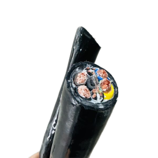 �����������ǲ���Z6���й�������ҳ����