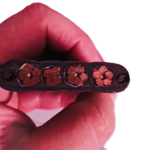 尊龙人生就是博·Z6「中国区」首页官网