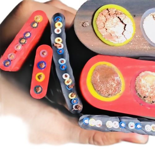 尊龙人生就是博·Z6「中国区」首页官网