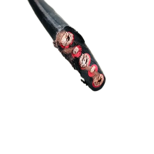 尊龙人生就是博·Z6「中国区」首页官网