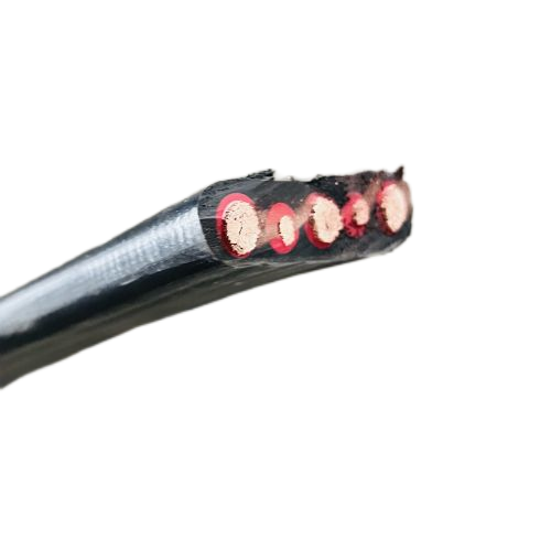 尊龙人生就是博·Z6「中国区」首页官网