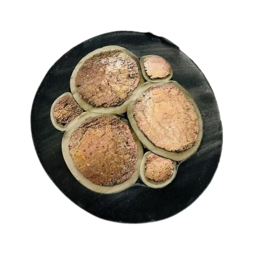 尊龙人生就是博·Z6「中国区」首页官网