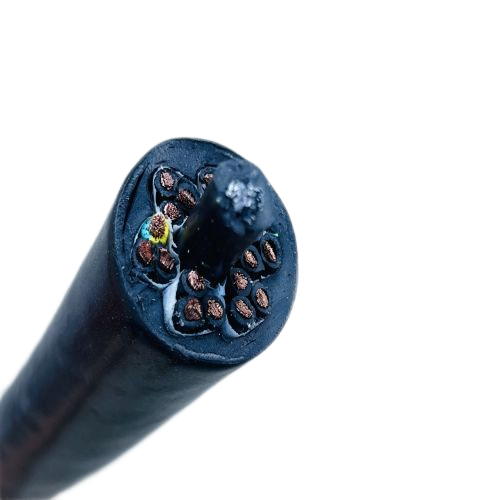 �����������ǲ���Z6���й�������ҳ����