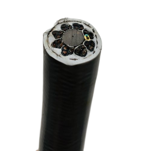 �����������ǲ���Z6���й�������ҳ����