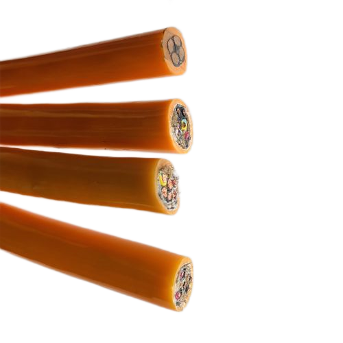 �����������ǲ���Z6���й�������ҳ����