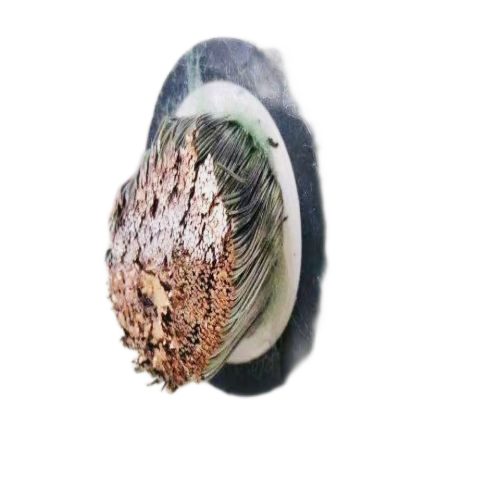 �����������ǲ���Z6���й�������ҳ����