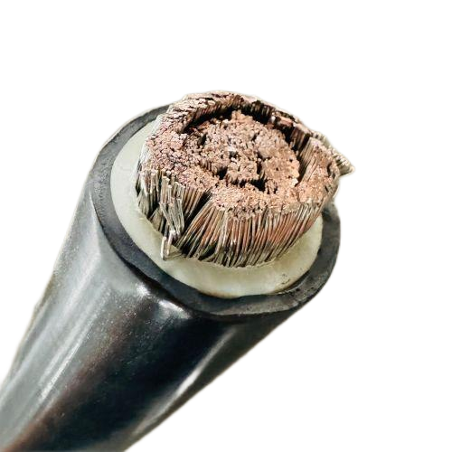 �����������ǲ���Z6���й�������ҳ����