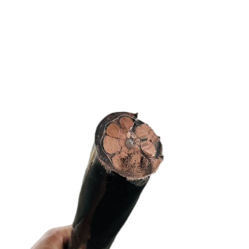 �����������ǲ���Z6���й�������ҳ����