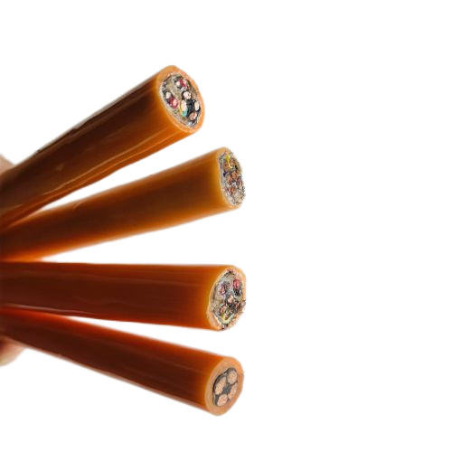 �����������ǲ���Z6���й�������ҳ����