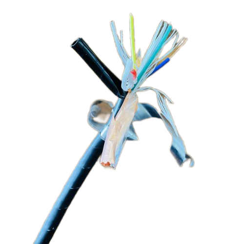 �����������ǲ���Z6���й�������ҳ����