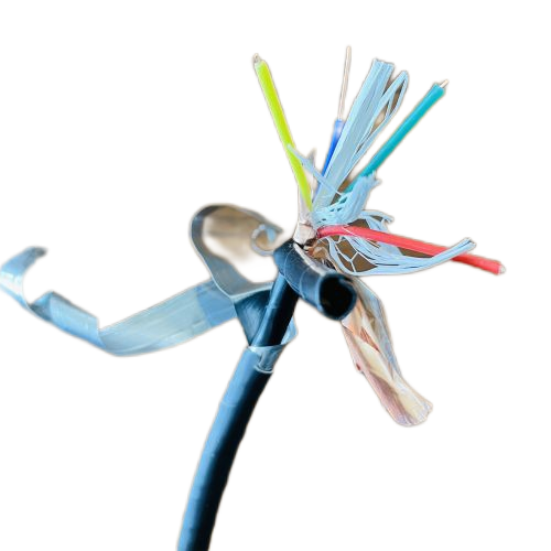 �����������ǲ���Z6���й�������ҳ����