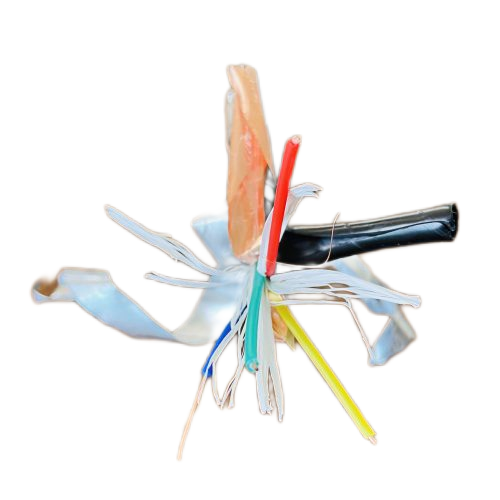 �����������ǲ���Z6���й�������ҳ����