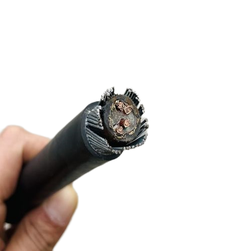 �����������ǲ���Z6���й�������ҳ����