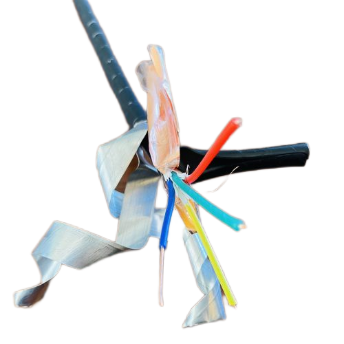 �����������ǲ���Z6���й�������ҳ����