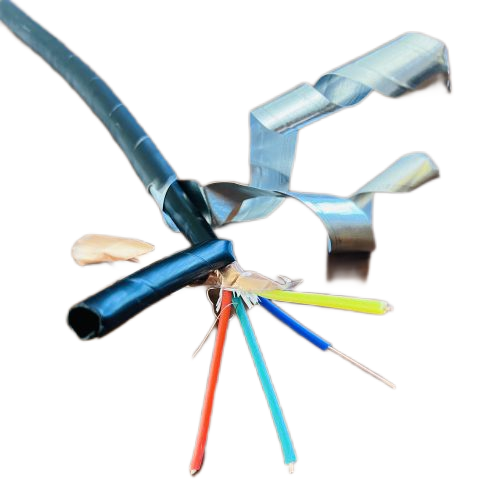 �����������ǲ���Z6���й�������ҳ����