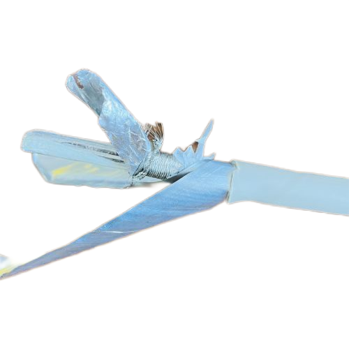 �����������ǲ���Z6���й�������ҳ����