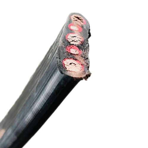 尊龙人生就是博·Z6「中国区」首页官网