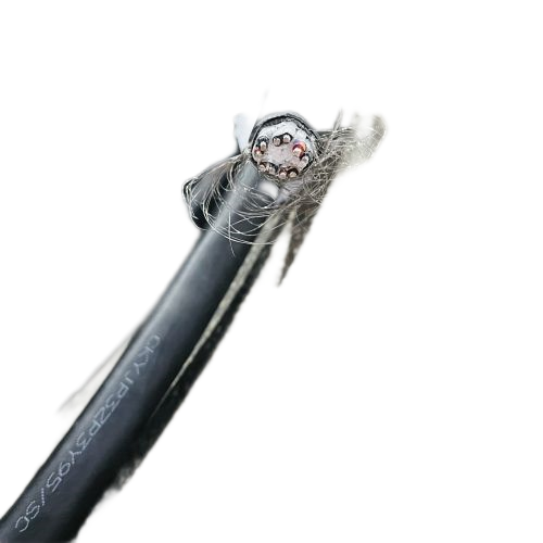 �����������ǲ���Z6���й�������ҳ����