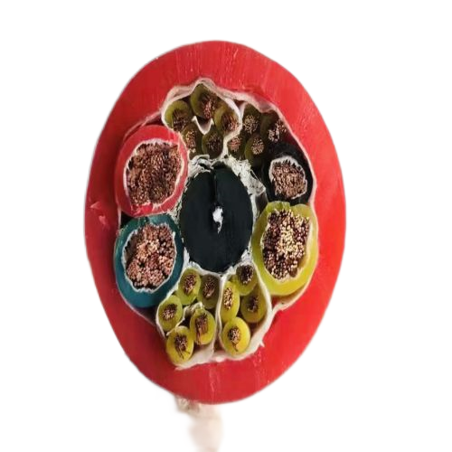 尊龙人生就是博·Z6「中国区」首页官网